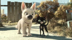 Bolt-disneyscreencaps