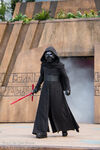 Kylo Ren - Jedi Training Trials of the Temple