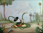 Mickey's Garden-79