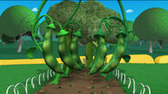 Giant green beans