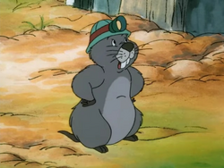 GopherNewAdventures