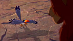 Zazu's introduction in The Lion King.