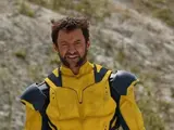 Wolverine