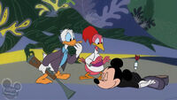 Donald and the Aracuan Bird sees Mickey tranquilized