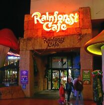 Rainforest Cafe at Disney Village