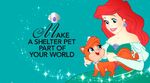 Shelter Pet Project Princess