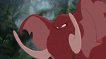 Tantor angry
