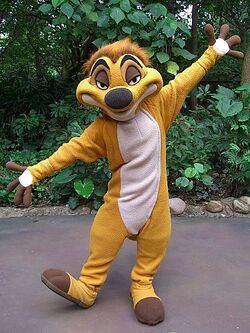 Timon posing for a photo at Hong Kong Disneyland.