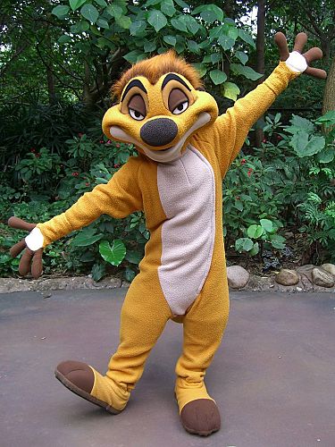 lion king characters timon