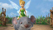 Tinker Bell riding Cheese
