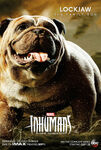 Inhumans Lockjaw Poster