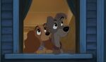 Lady and Tramp's worry for their son