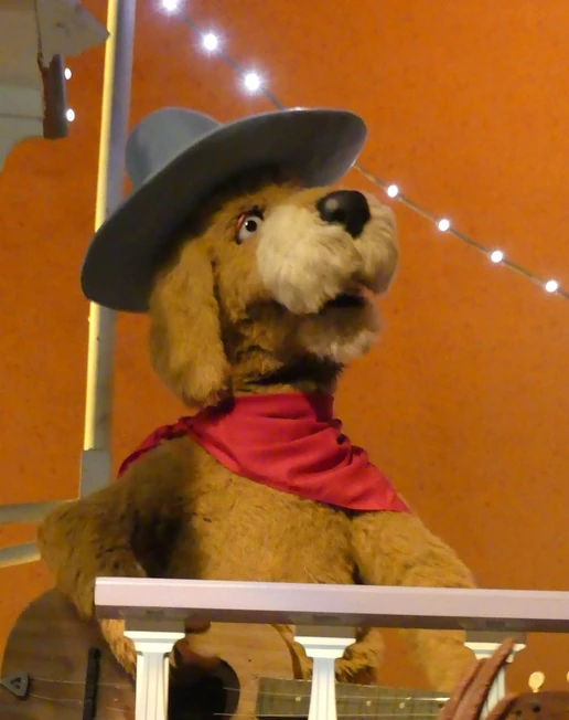 Tex Ranger (Splash Mountain)