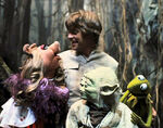 Luke with the Muppets.