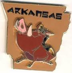 Arkansas Pin