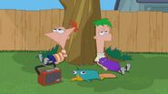 Phineas, Ferb, and Perry sitting at their tree.