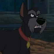 Joca (A Dama e o Vagabundo (redublado), A Dama e o Vagabundo 2: As Aventuras de Banzé)