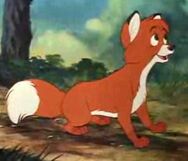 LittleFox