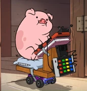 Waddles (Gravity Falls)