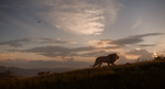 The Lion King (2019 film) (16)