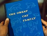 Great cat family book