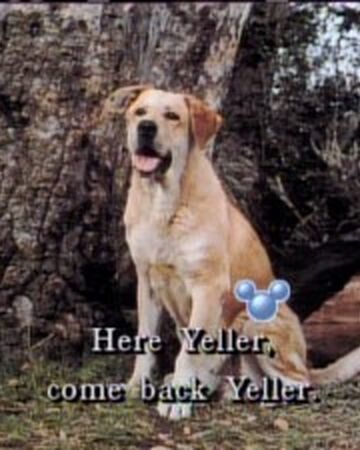 old yeller dog breed