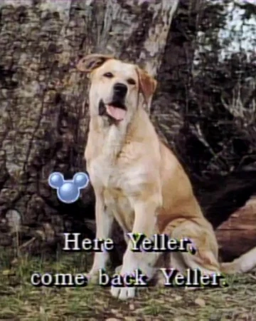 what type of dog is old yeller