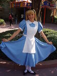 Alice HKDL