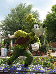 Goofy