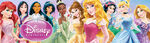 2012 redesign (Disney Princess pre-redesign)