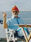 Steve Zissou (The Life Aquatic with Steve Zissou)