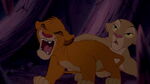 Simba ferociously roars at the hyenas.