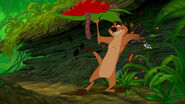 Timon: I'm telling you, kid, this is the great life. No rules. No responsibilities.
