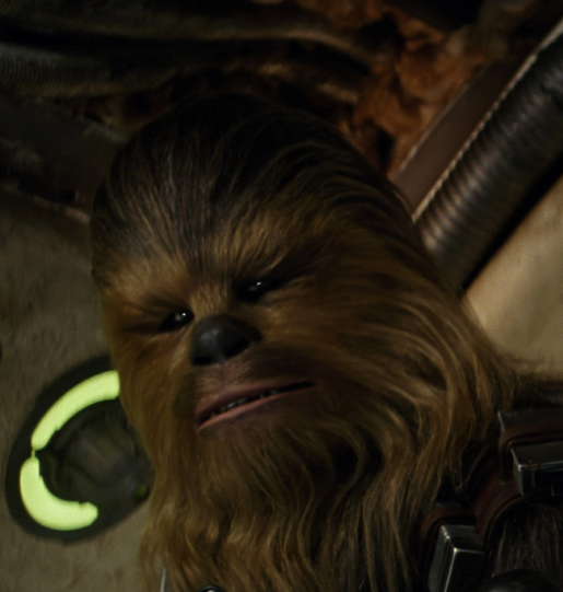 Profile - Chewbacca