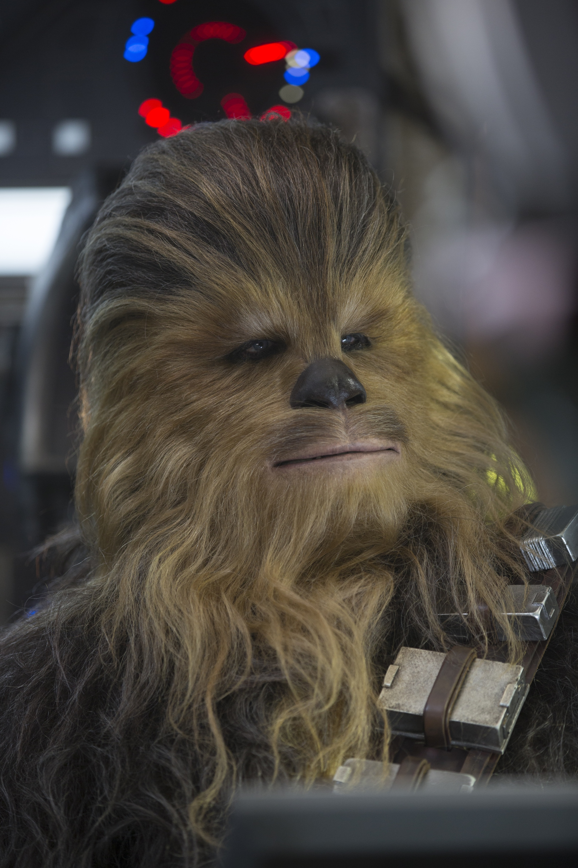 Chewbacca | Disney Wiki | Fandom