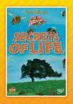 Secrets of Life DMC Exclusive
