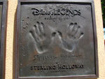 Sterling Holloway's handprints from the Chinese Theatre Handprint ceremony.