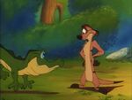 Timon-and-pumbaajr