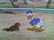 1936-cirque-3.jpg (134 KB)