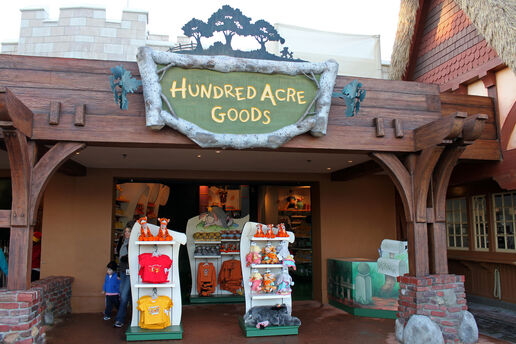 Hundred acre goods magic kingdom