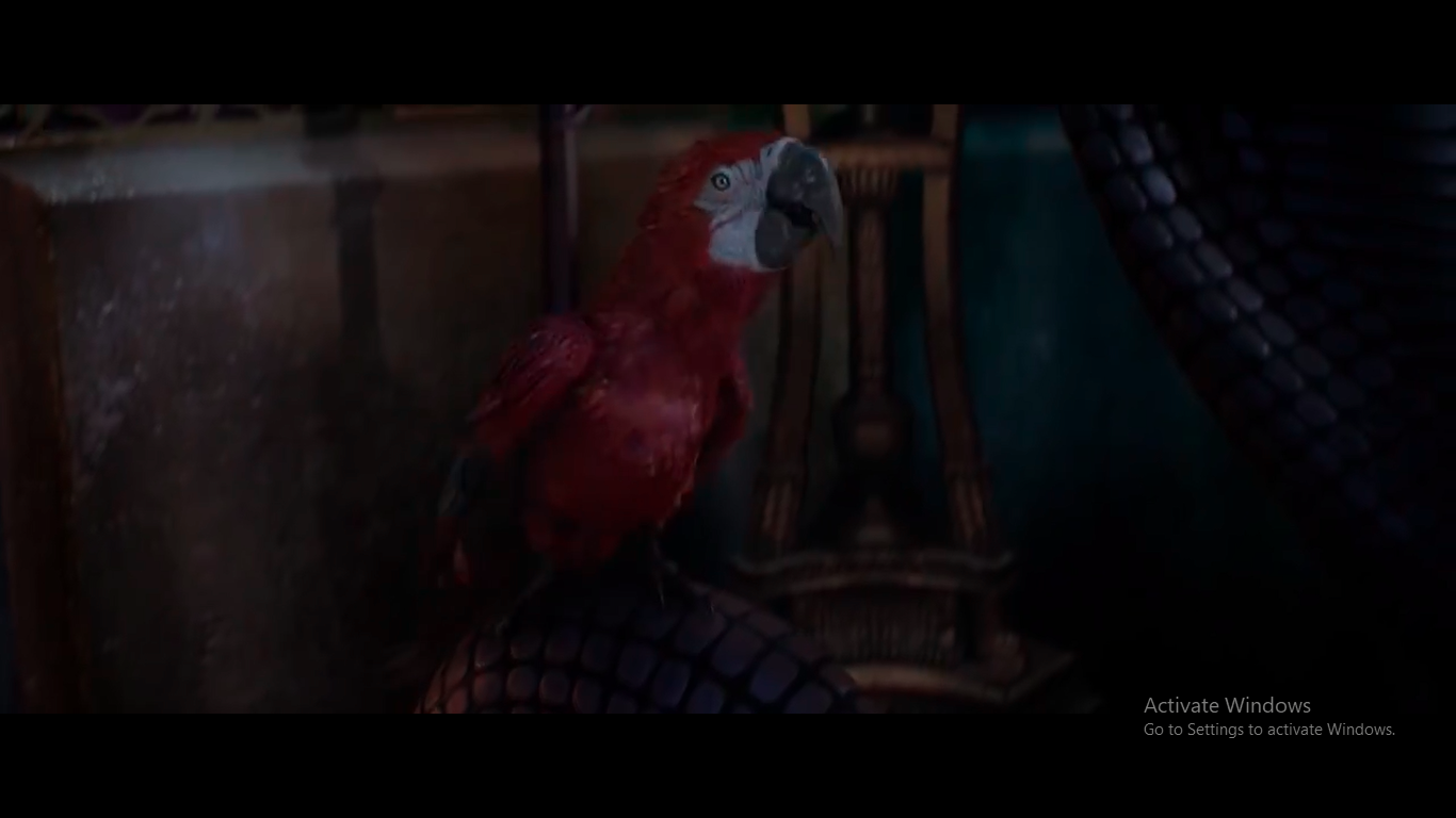 parrot in aladdin film