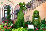 Lady topiary