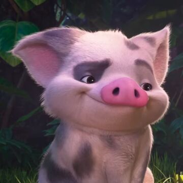 Pua Disney Wiki Fandom Pua Disney Wiki Fandom