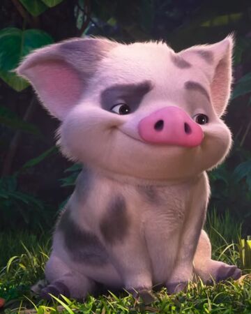Pua Disney Wiki Fandom Pua Disney Wiki Fandom