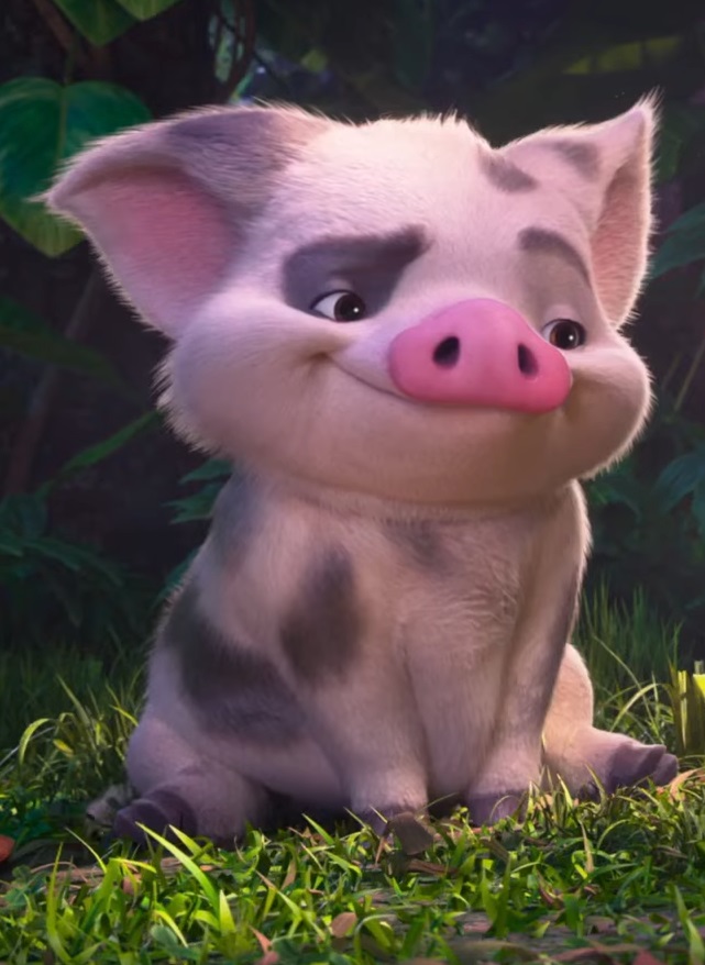 Download Pua | Disney Wiki | Fandom