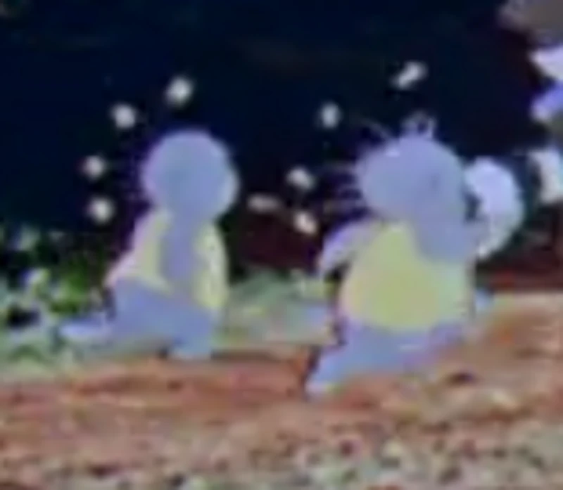 Sis Porcupines