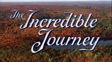 The Incredible Journey Title Card