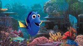 Dorie