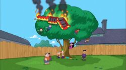 Climbing from the tree