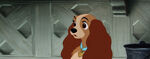 Lady-tramp-disneyscreencaps.com-2106